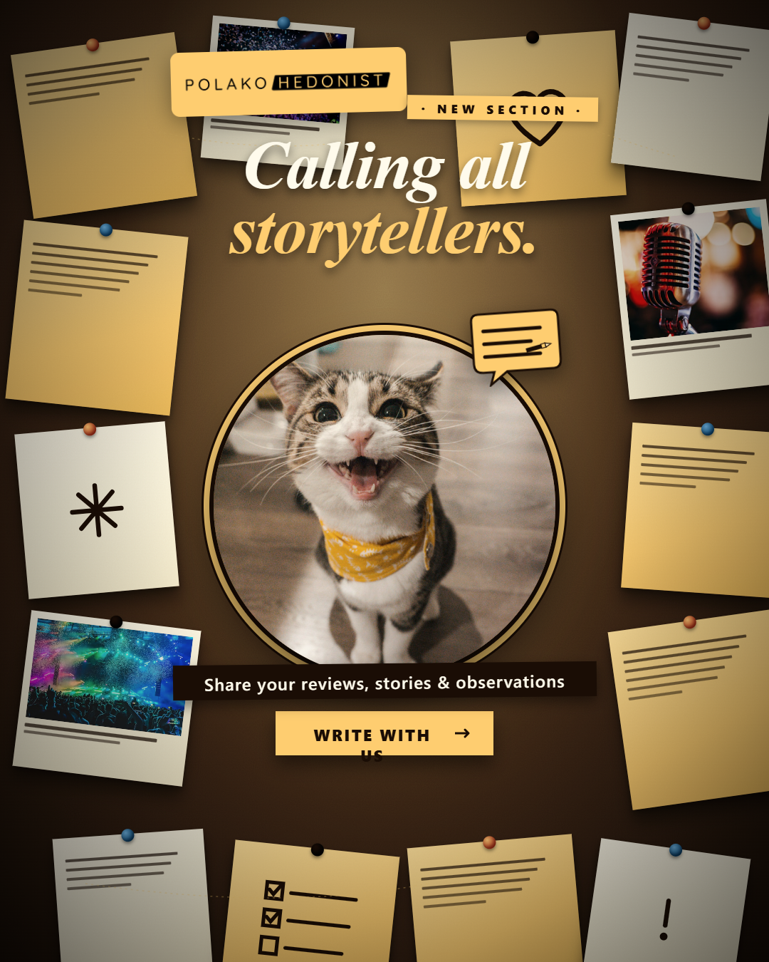 New section — news: this is your space